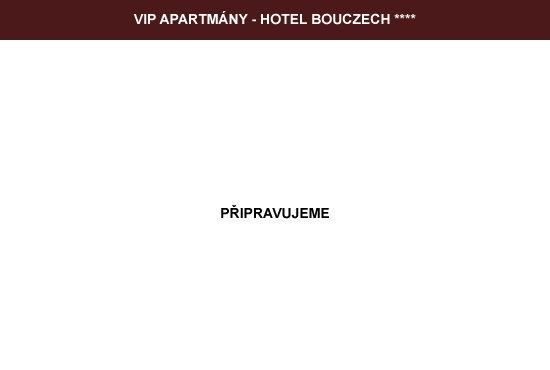 VIP apartmány - hotel Bouczech
